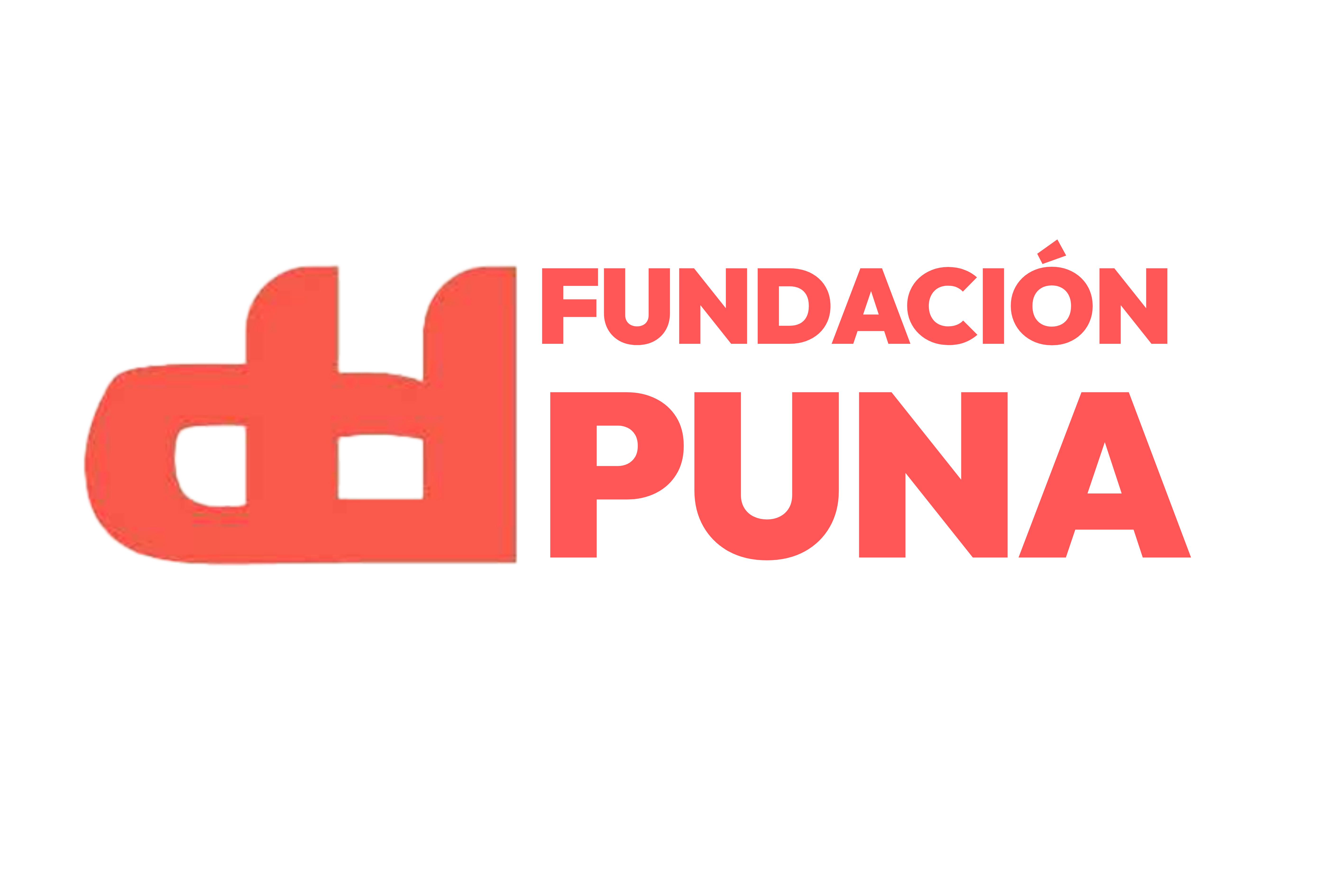 Fundación Puna